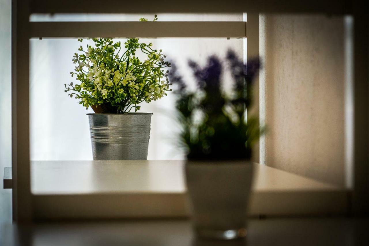 Guesthouse Klara Duba Stonska エクステリア 写真